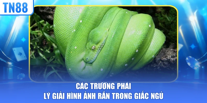 Các trường phái lý giải hình ảnh rắn trong giấc ngủ