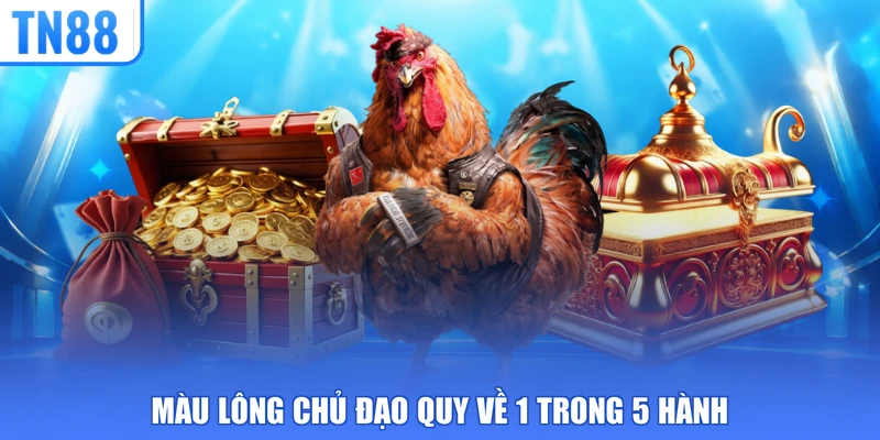 Màu lông chủ đạo quy về 1 trong 5 hành