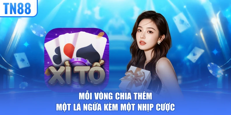 Mỗi vòng chia thêm một lá ngửa kèm một nhịp cược