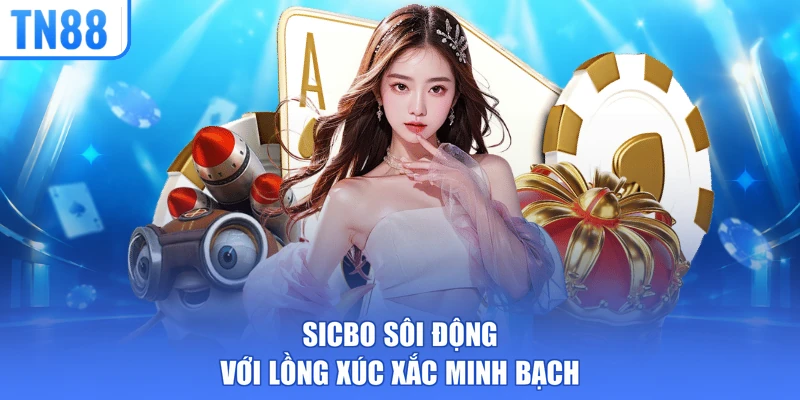 Sicbo sôi động với lồng xúc xắc minh bạch