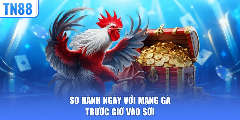 So hành ngày với mạng gà trước giờ vào sới