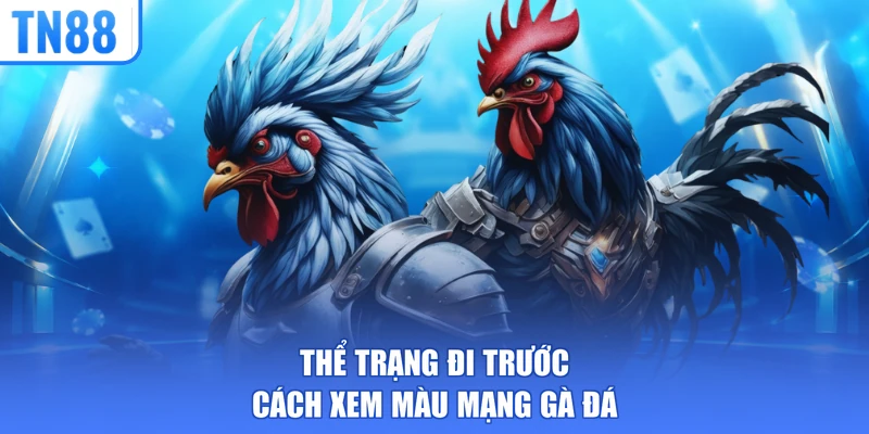 Thể trạng đi trước cách xem màu mạng gà đá